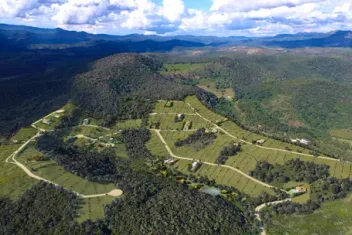 Arvoredo do Tripuí